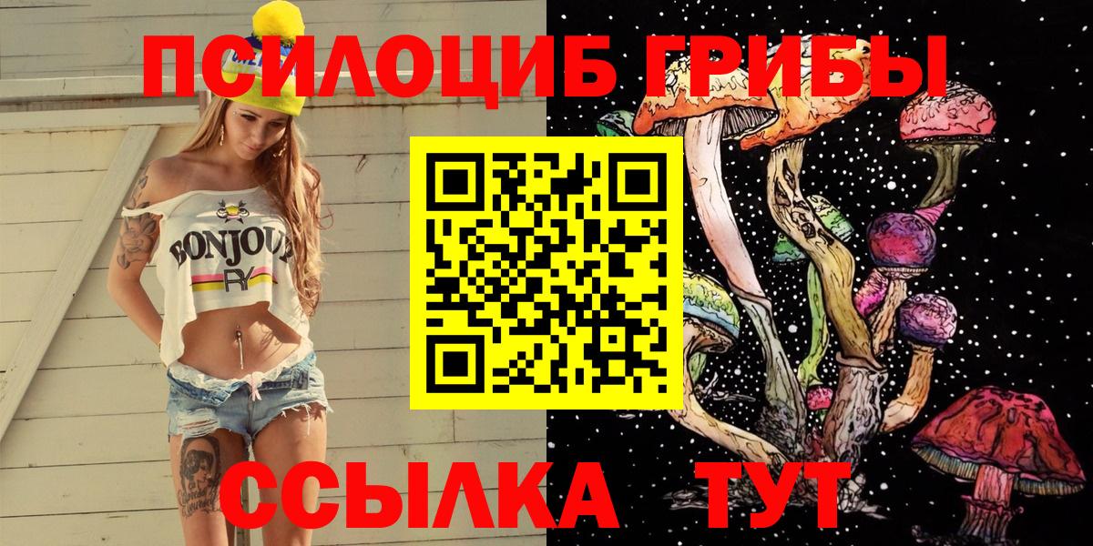 Чапаевск  закладка  Вход с VPN  Псилоцибиновые грибы ЛСД 