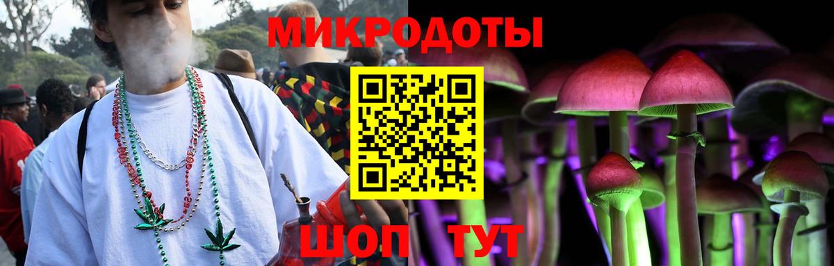Псилоцибиновые грибы прущие грибы Чапаевск